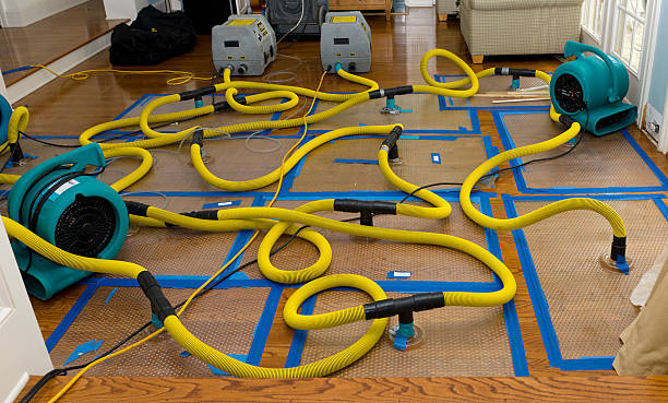Professional Storm Water Damage Restoration technician working in Morton, WA